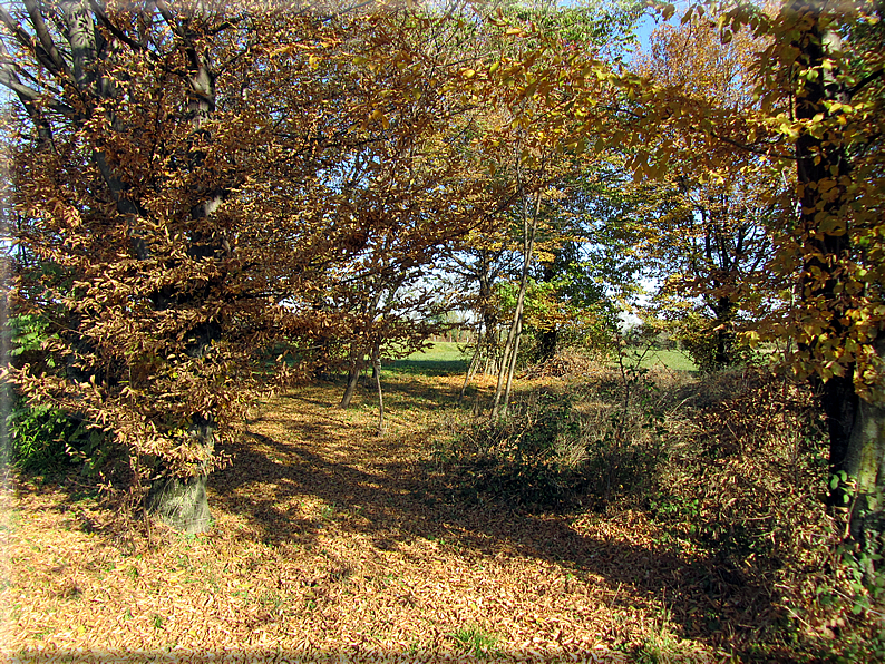 foto Alle pendici del Monte Grappa in Autunno